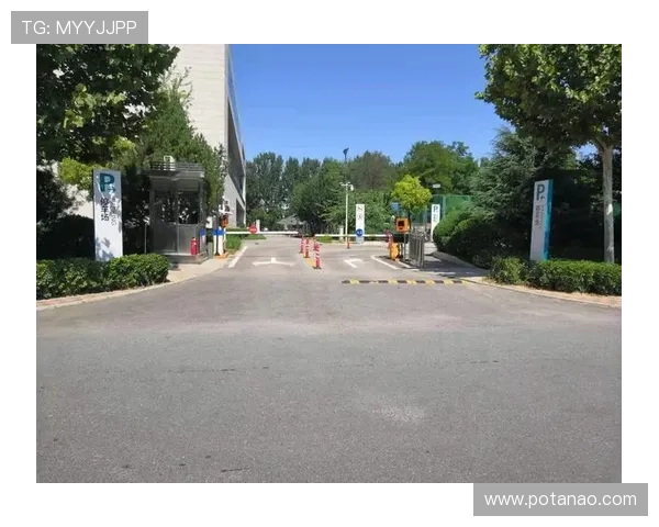 尊龙时凯平台入口：官方推荐的登录入口地址及安全保障措施介绍