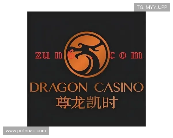 尊龙时凯人生就是博官网登录:从零开始的成功经验分享与启示 尊龙时凯人生就是博官网登录:从零开始的成功经验分享与启示