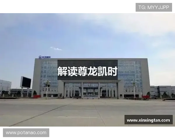 尊龙凯时地址登录入口官方最新入口,解决玩家登录难题提供详细操作指南 尊龙凯时地址登录入口官方最新入口,解决玩家登录难题提供详细操作指南